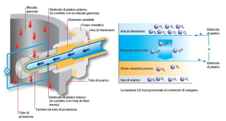 Sonde Lambda: Universale Sonda Lambda 5 Cavi